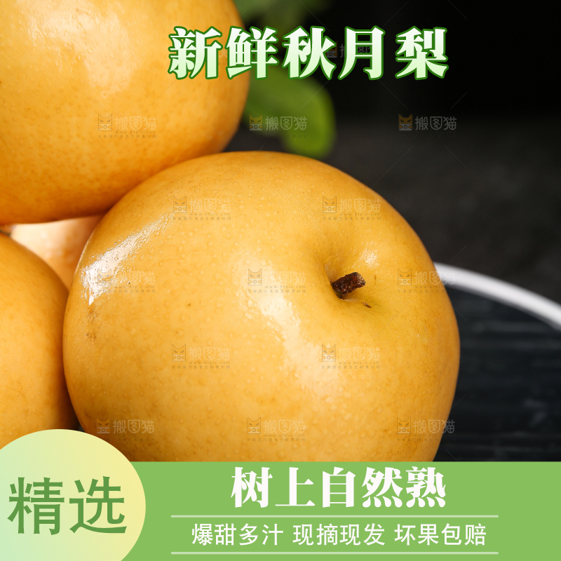 黑底上的秋月梨