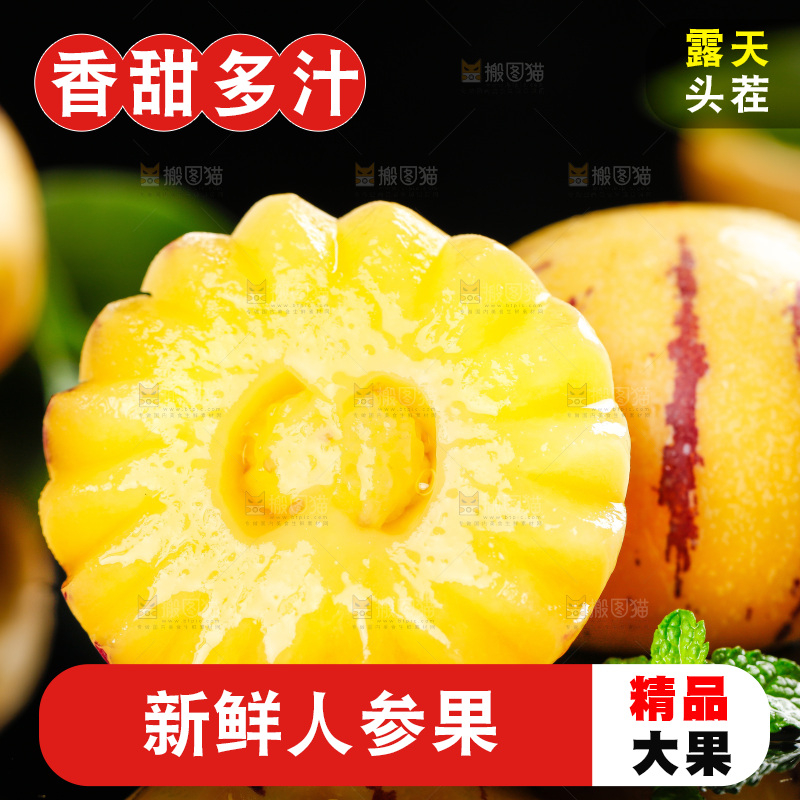 木底上的人参果