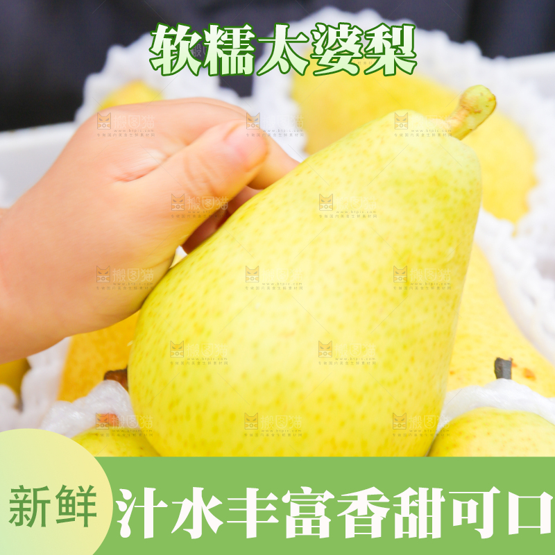 手里拿着烟台太婆梨