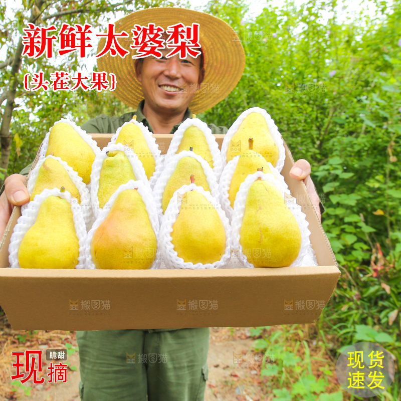 农民手里拿着一箱太婆梨