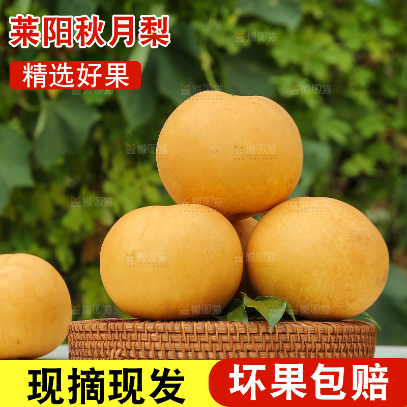 桌子上放着一篮秋月梨