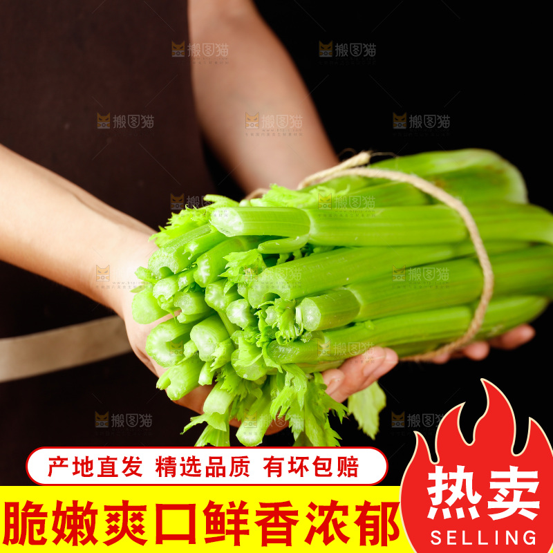 手里拿着一捆山东大西芹