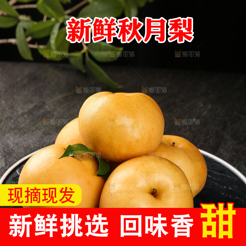 盘子里的莱阳秋月梨