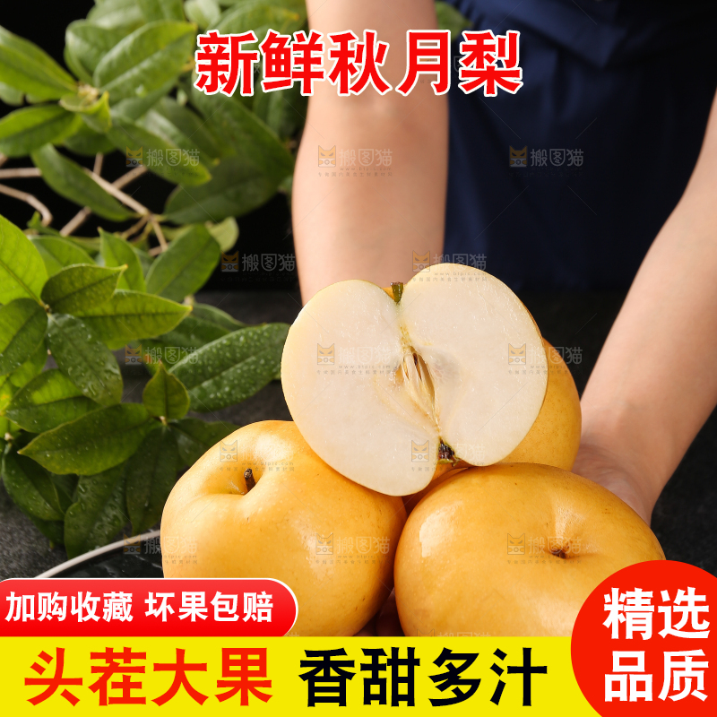 手上放着新鲜秋月梨