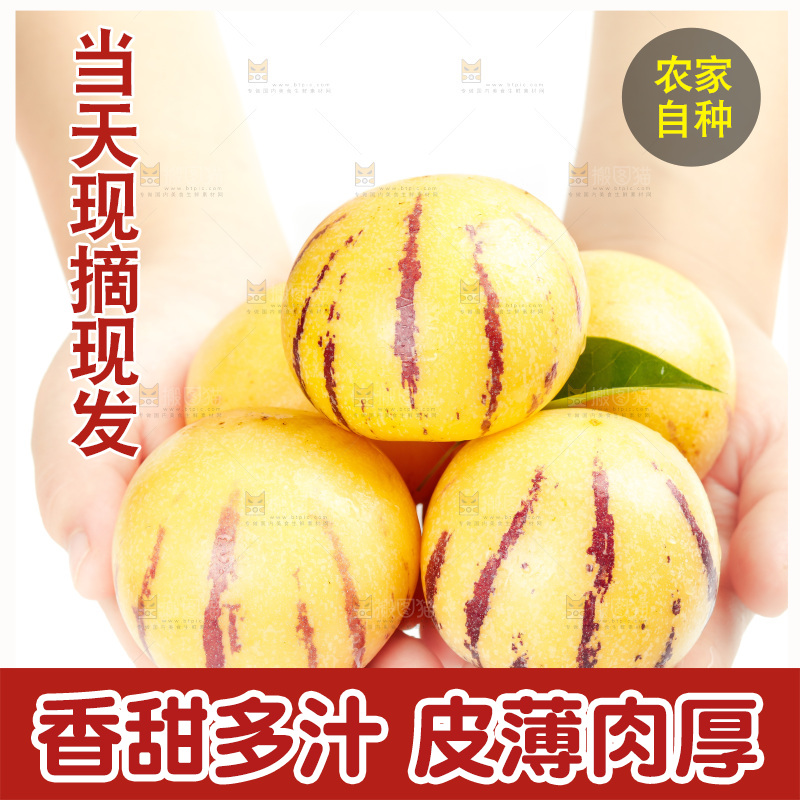 白底上放着人参果
