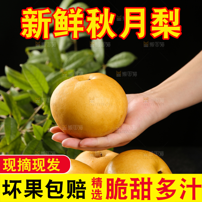 手上放着新鲜秋月梨