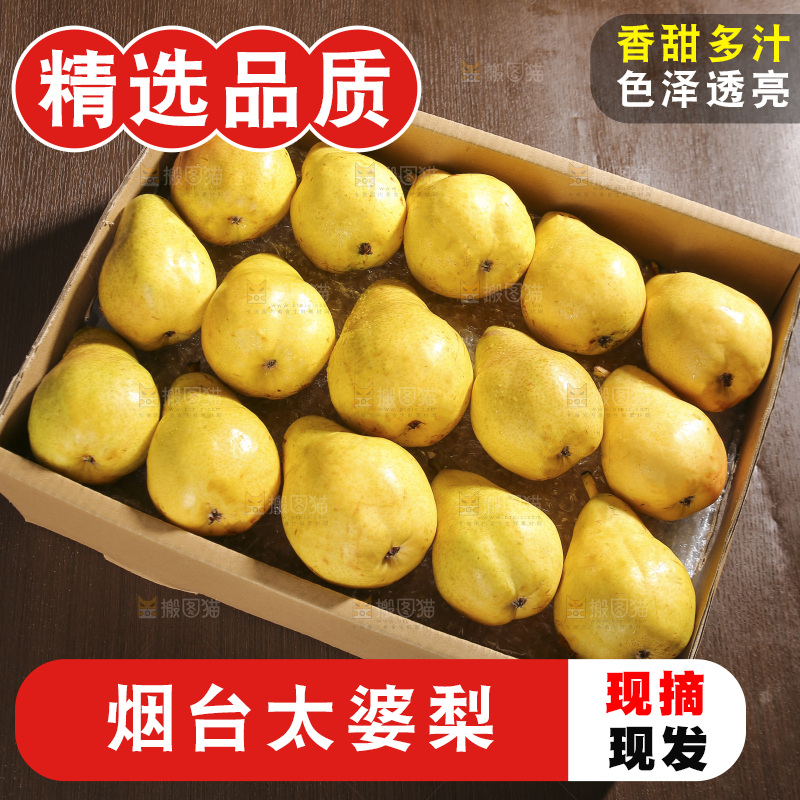 箱子里的烟台太婆梨