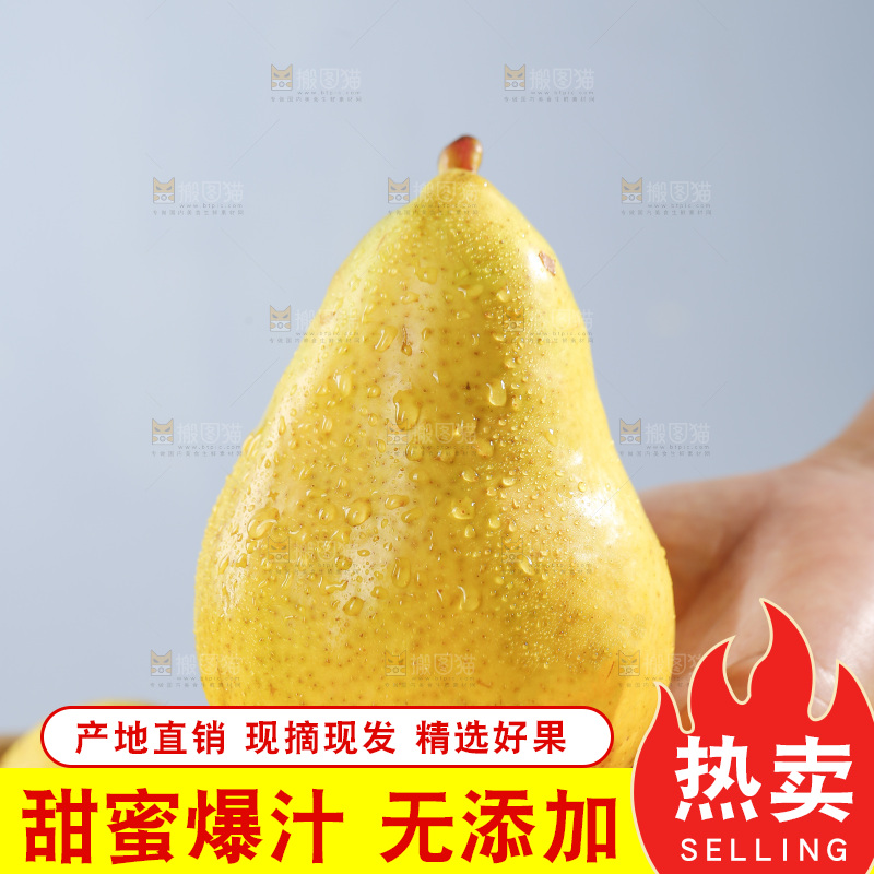 手里拿着太婆梨