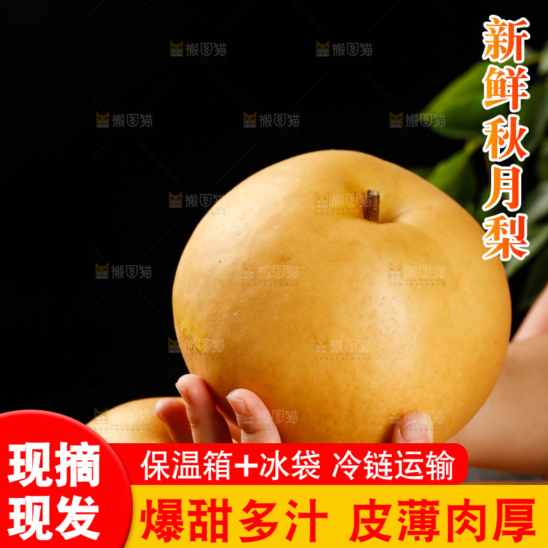 手里拿着秋月梨