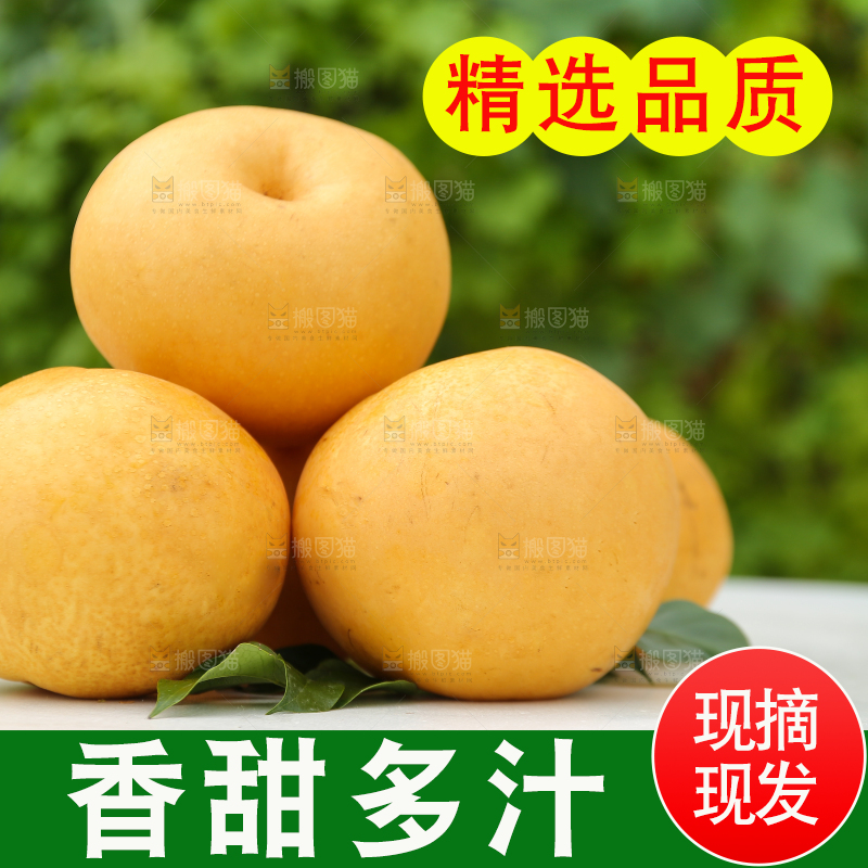 桌子上摆放着的秋月梨