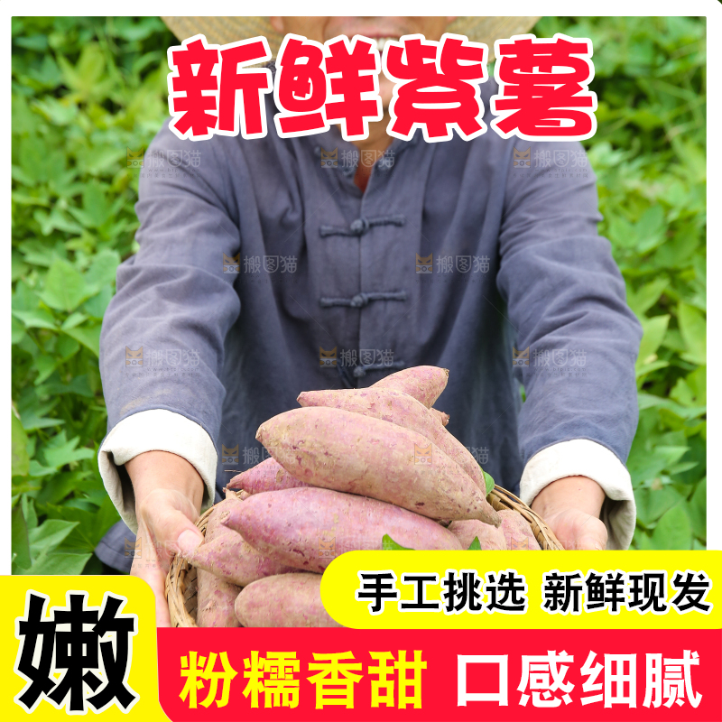 农民手里拿着一篮紫薯