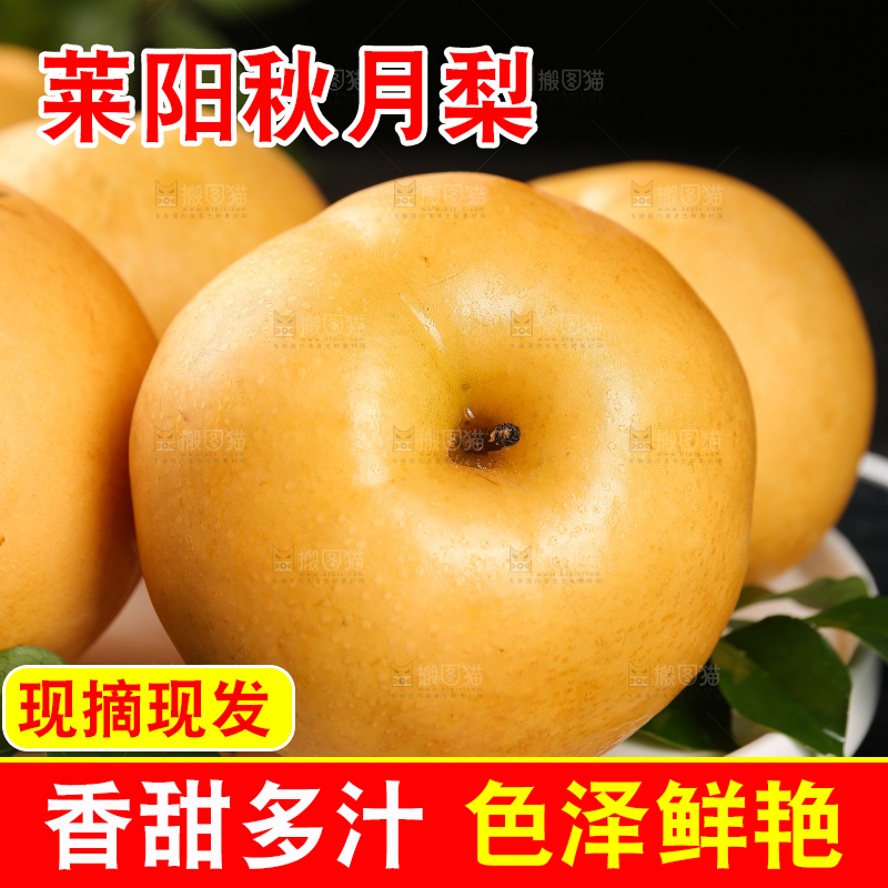 盘子里的莱阳秋月梨