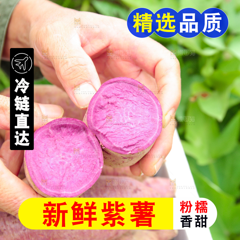 手里拿着新鲜紫薯