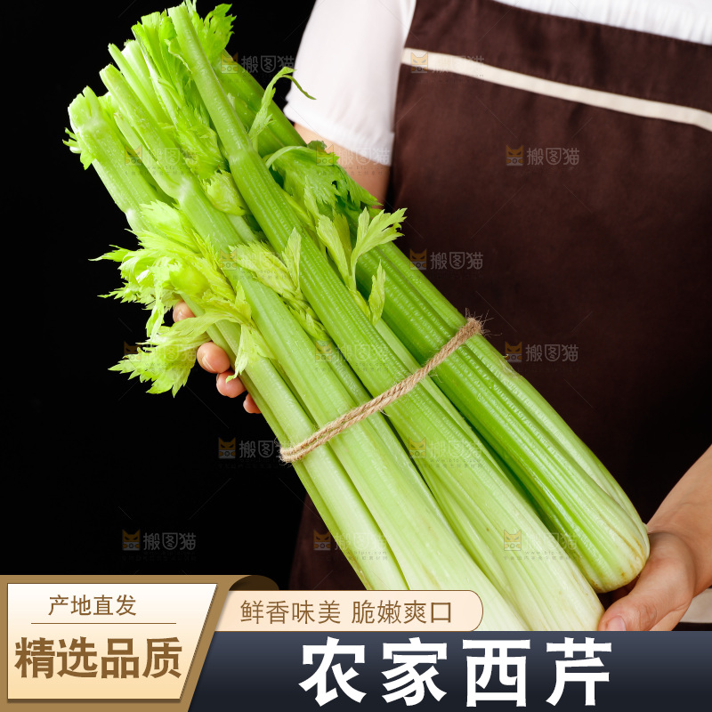 手里拿着一捆山东大西芹
