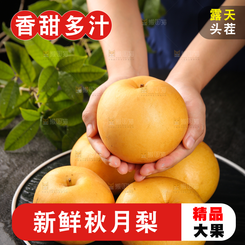 手里放着新鲜秋月梨