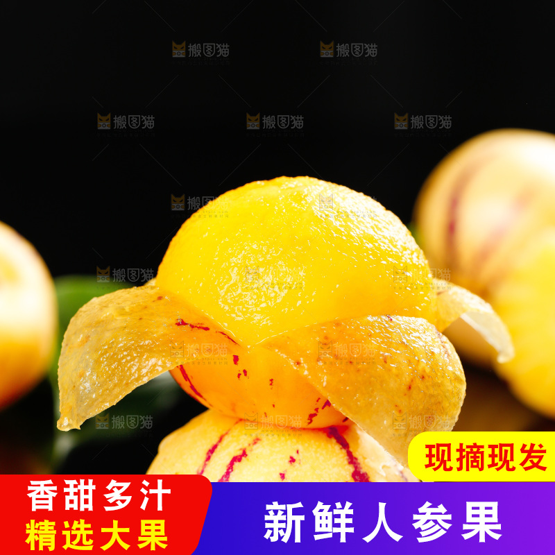 木底上的人参果
