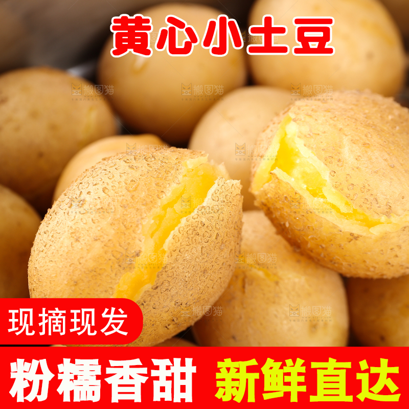 蒸熟的黄心小土豆