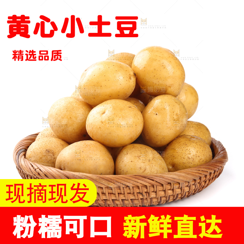 白底上的一篮小土豆