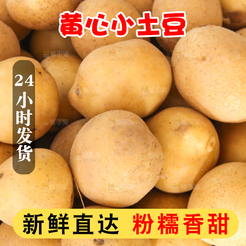 堆放着的黄心小土豆