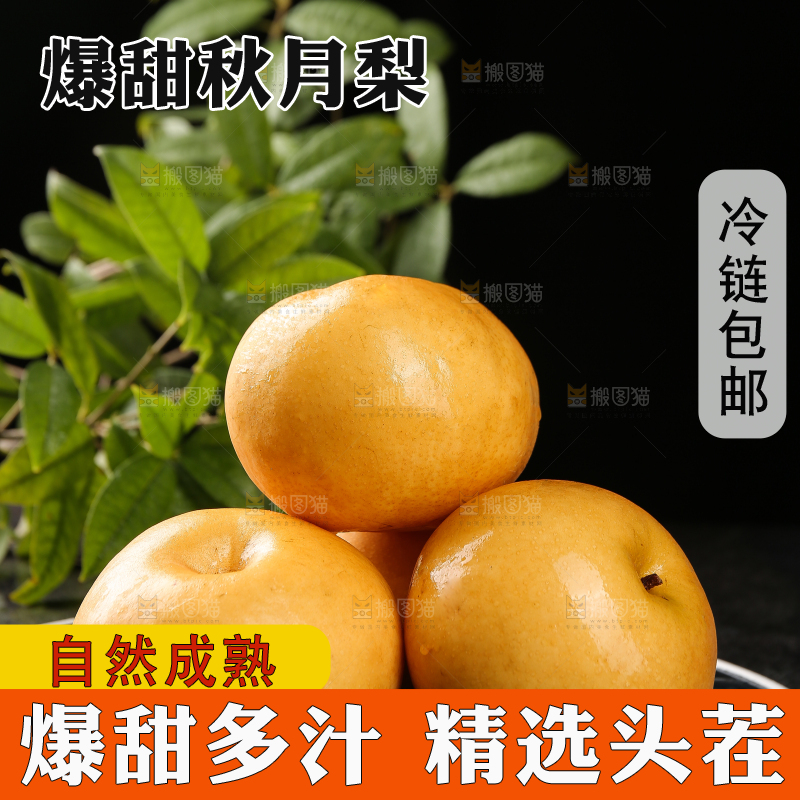 黑底上的秋月梨