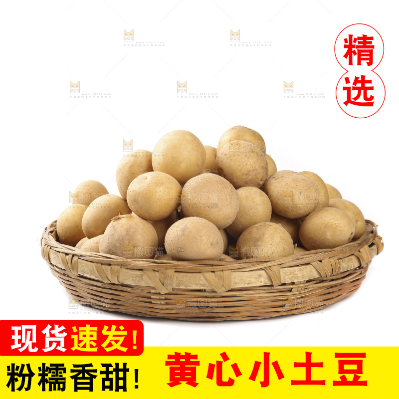 白底上的一篮黄皮小土豆