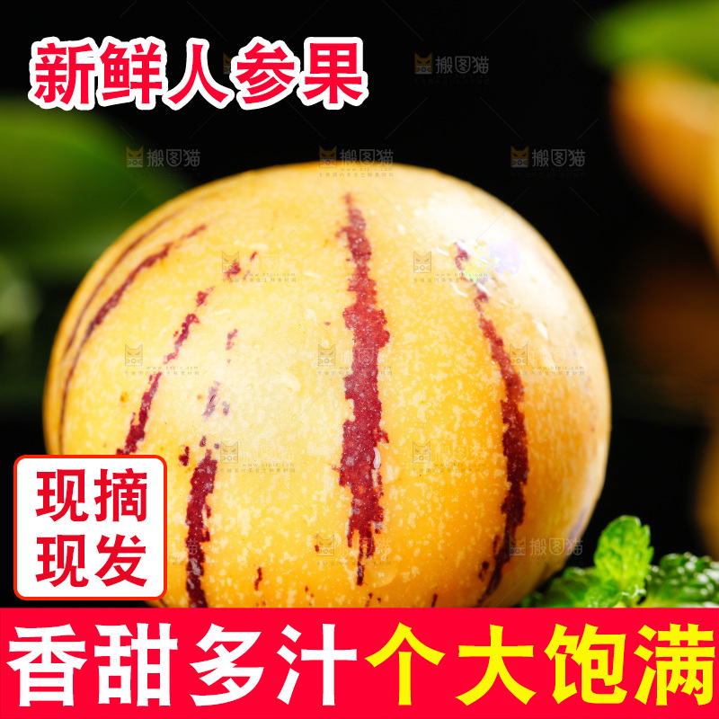 木底上的人参果
