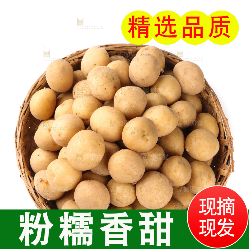 白底上的一篮黄皮小土豆