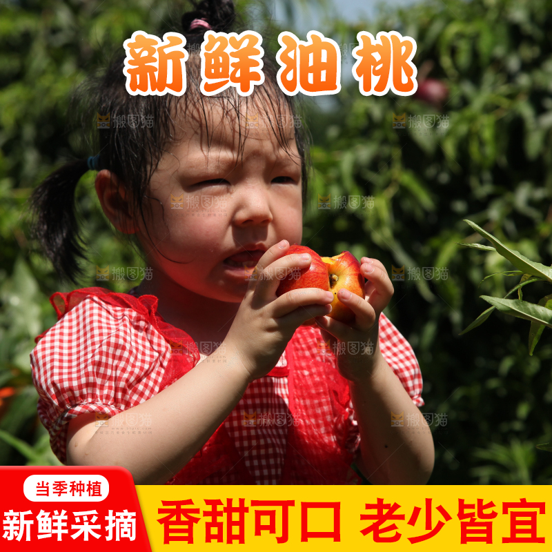 女孩正在吃着油桃