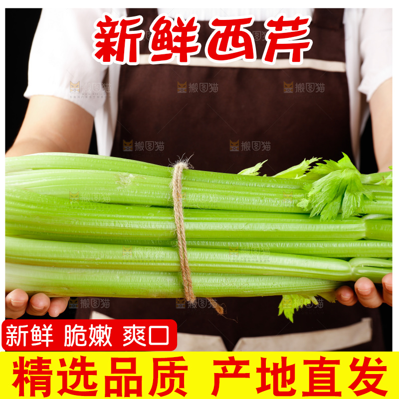 手里拿着一捆山东大西芹