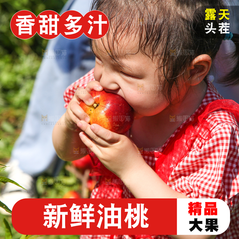 女孩正在吃着油桃