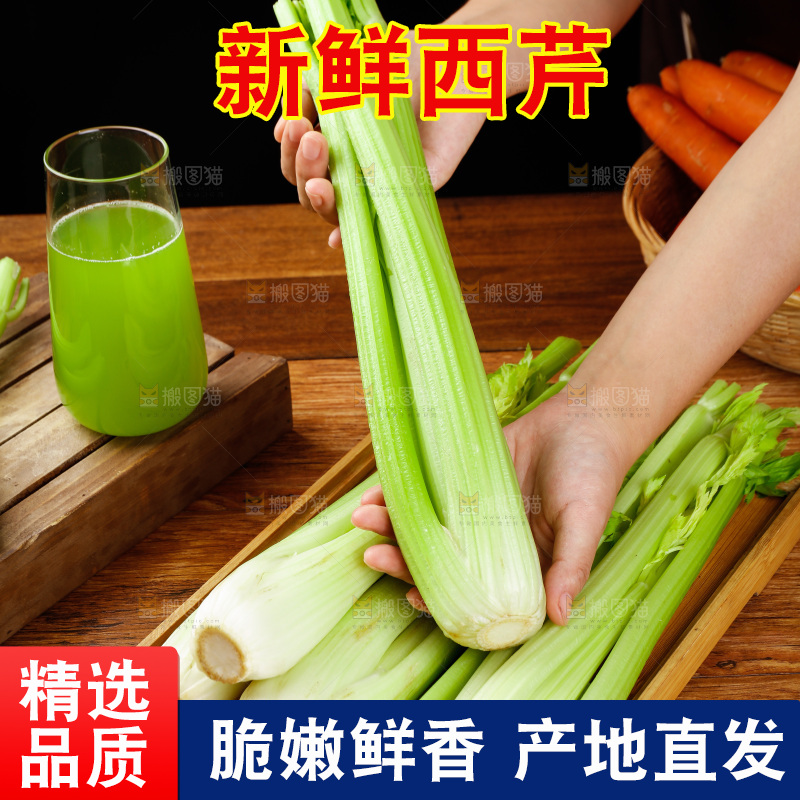 手里拿着山东大西芹