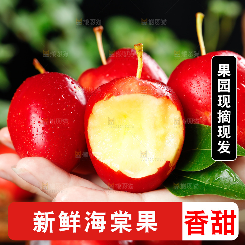 手里拿着海棠果