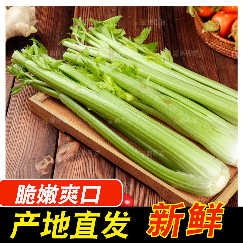 木盘里的山东大西芹