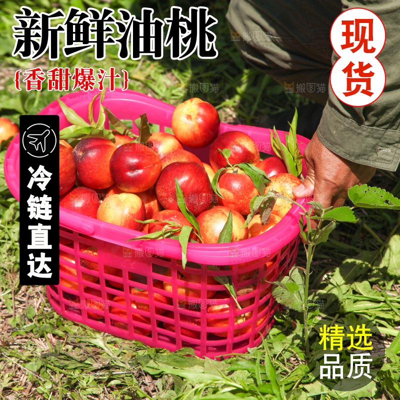 地上放着一篮新鲜油桃
