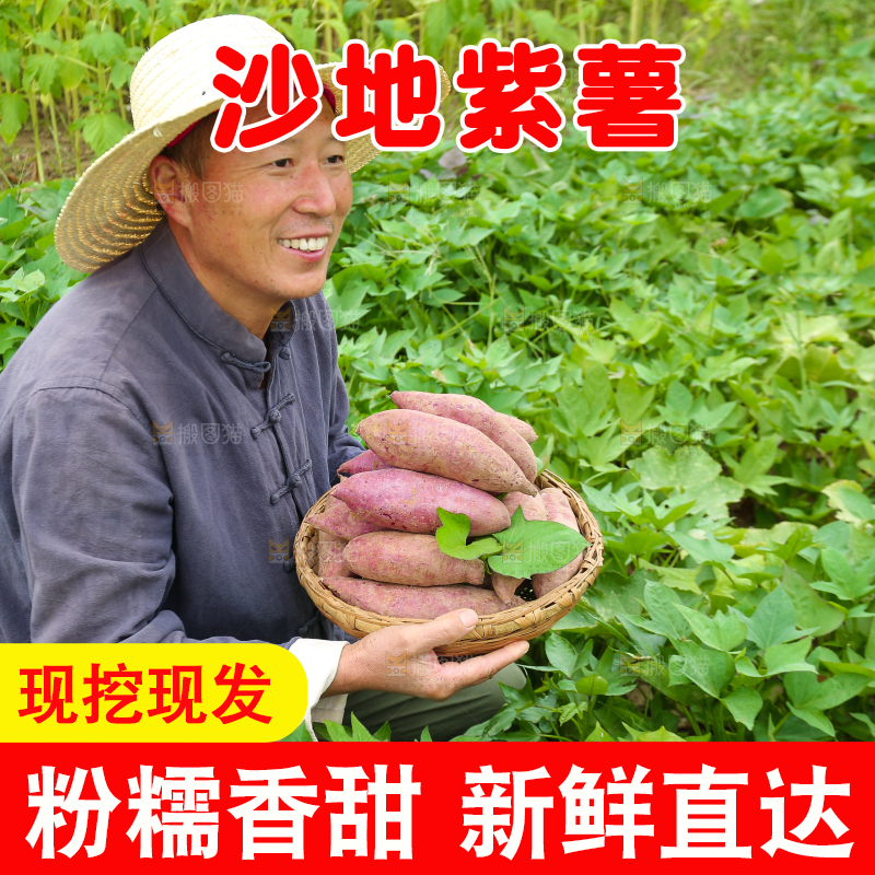 农民手里拿着一篮紫薯