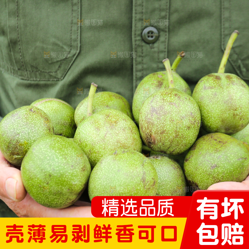 手里捧着青皮核桃