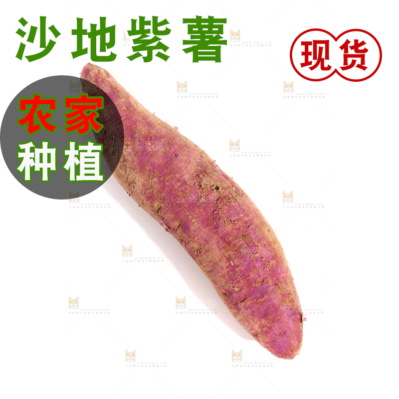 白底上的沙地紫薯