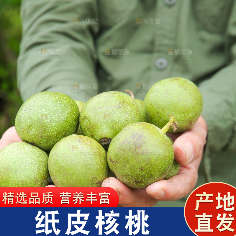 手里捧着新鲜核桃