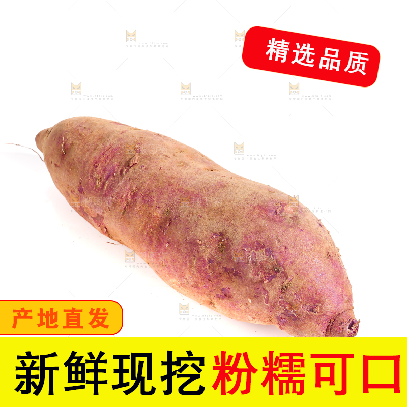 白底上的沙地紫薯
