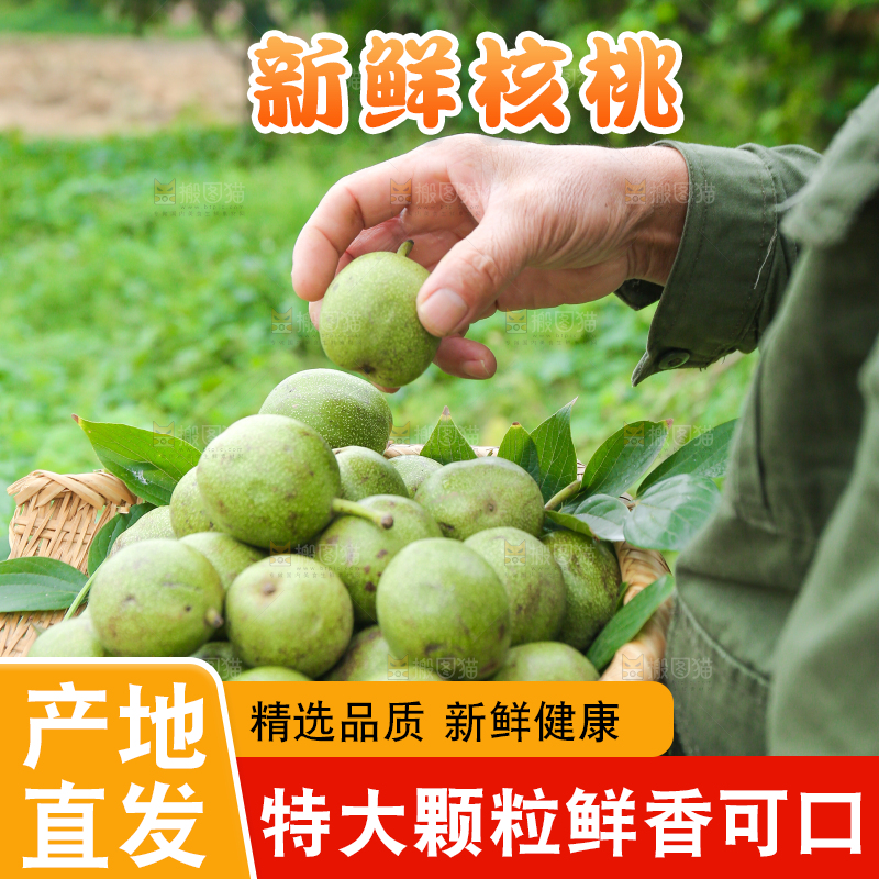 手里拿着一篮青皮核桃