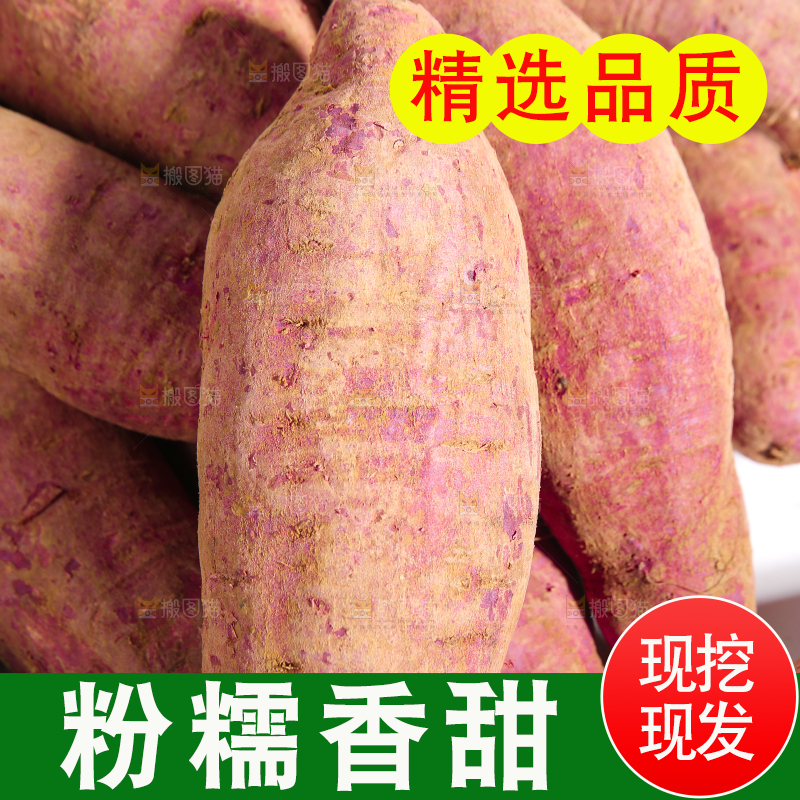 堆放着的沙地紫薯