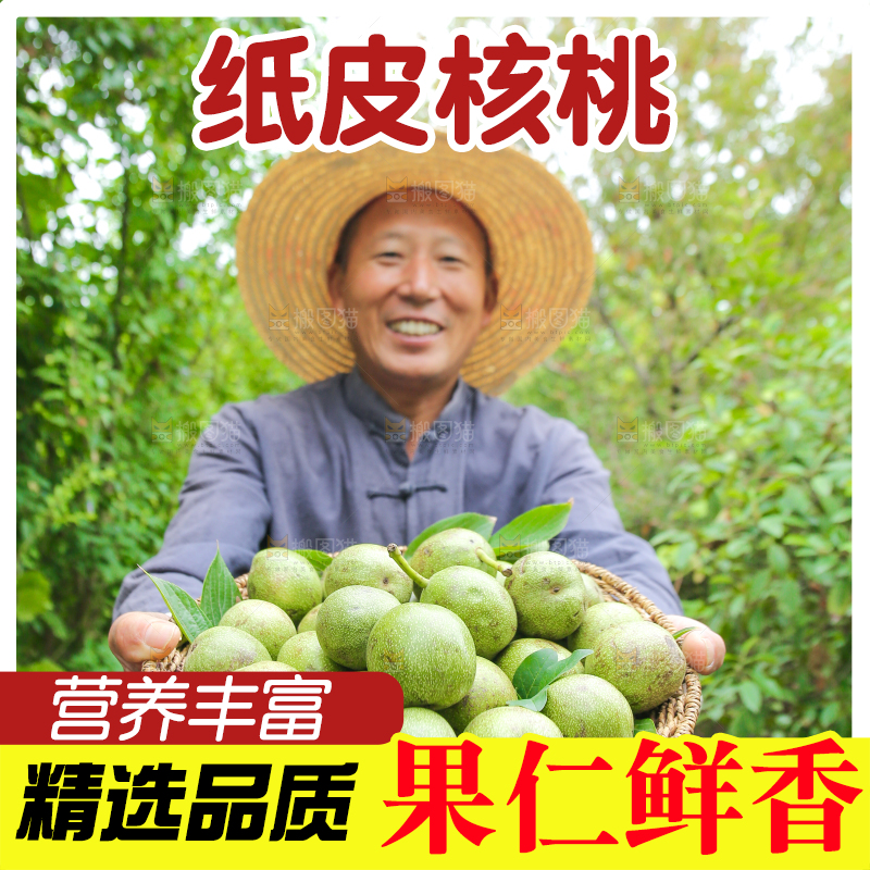 农民手里拿着一篮核桃
