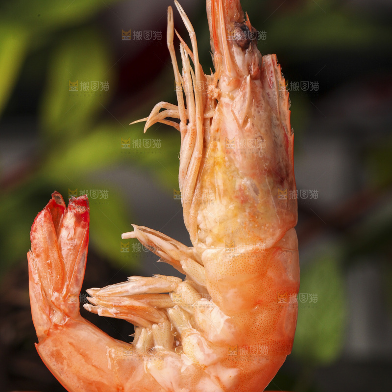 手拿着白灼大虾