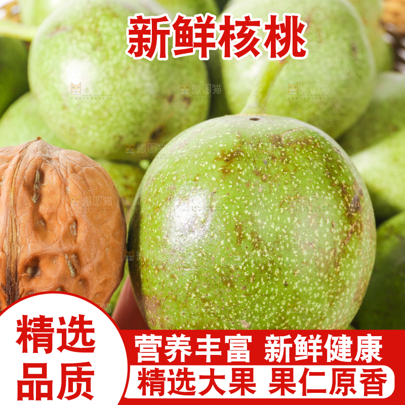 手里拿着新鲜核桃