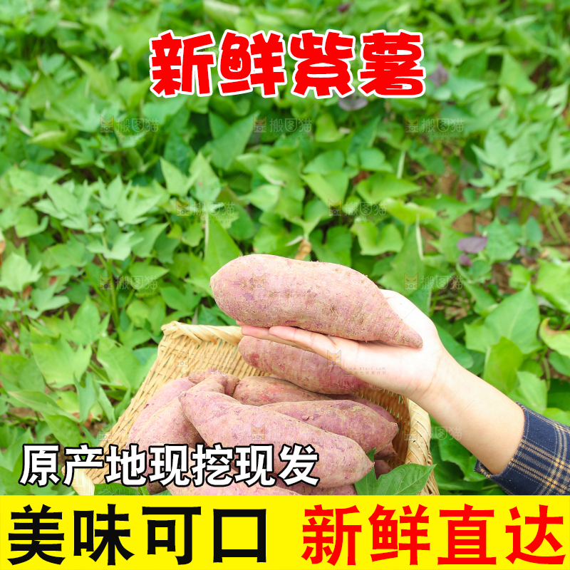 手里拿着一篮紫薯