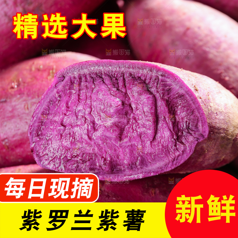 堆放着的新鲜紫薯