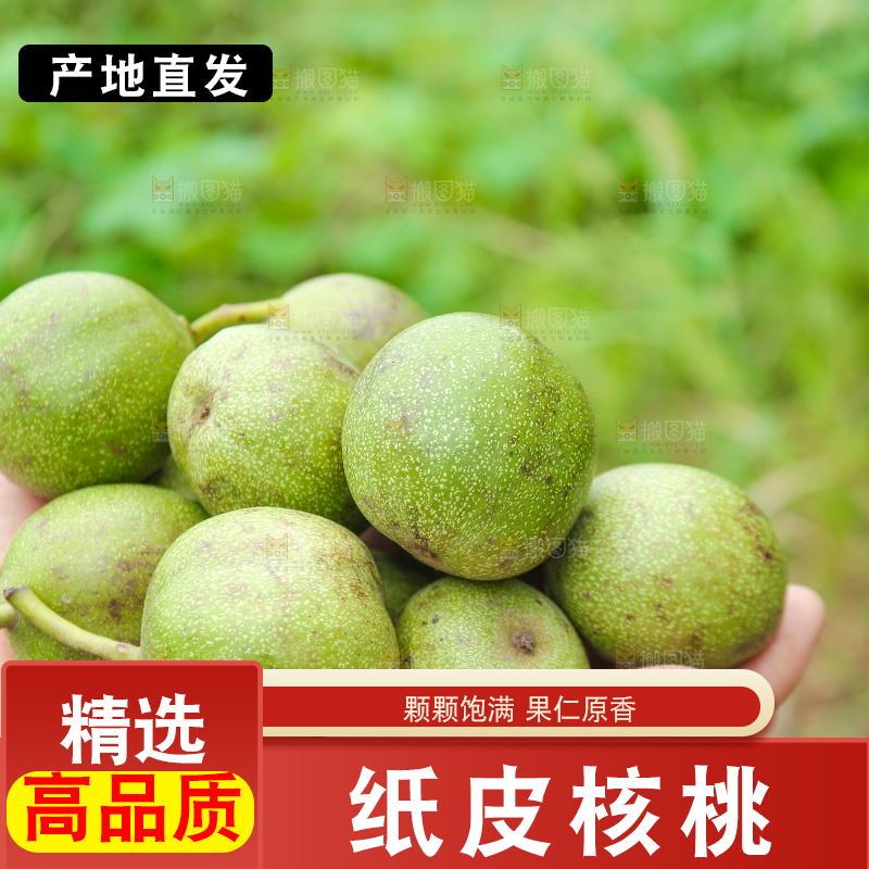 手里捧着新鲜核桃