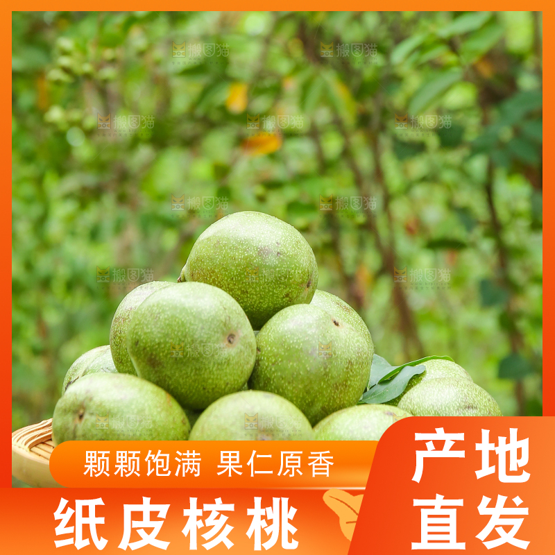 手里拿着一篮青核桃