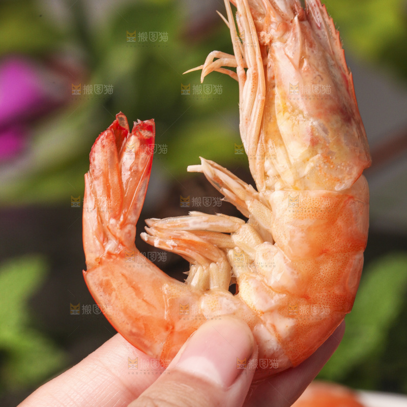 手拿着白灼大虾
