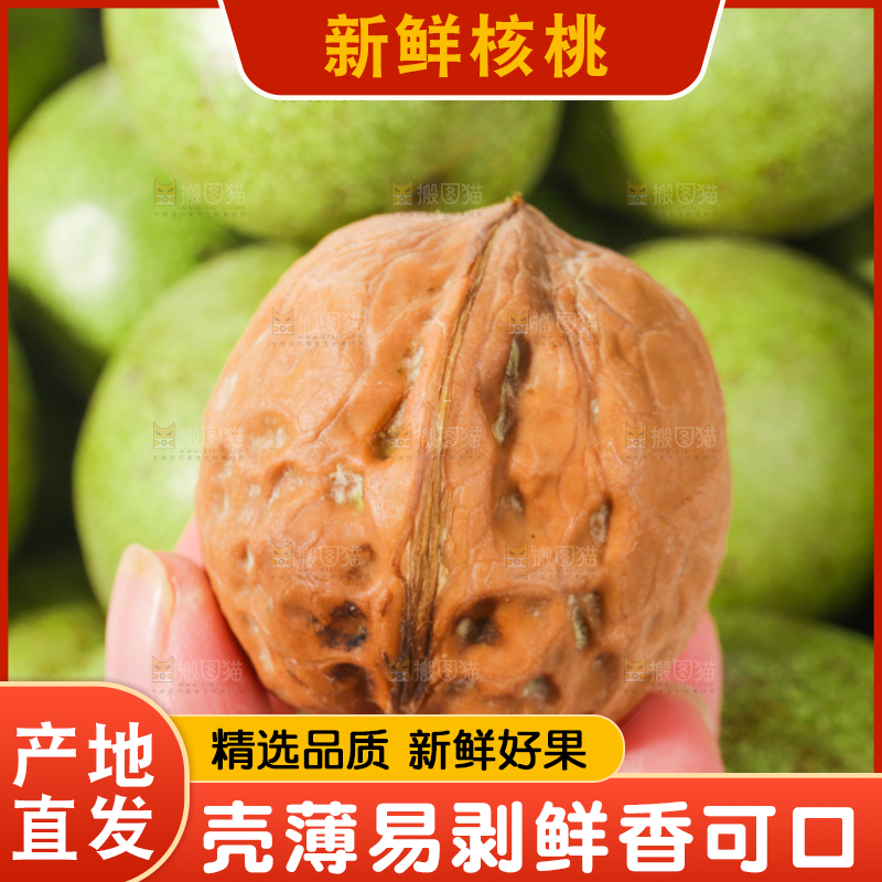 手里拿着新鲜核桃